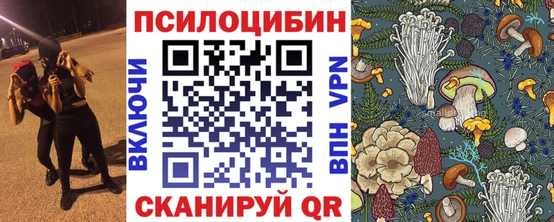 kraken как войти  Томари  Галлюциногенные грибы прущие грибы 